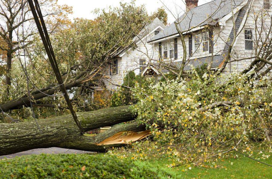 Storm Damage Claims by Infinity Public Adjusting LLC